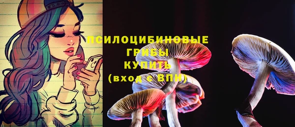 2c-b Аркадак