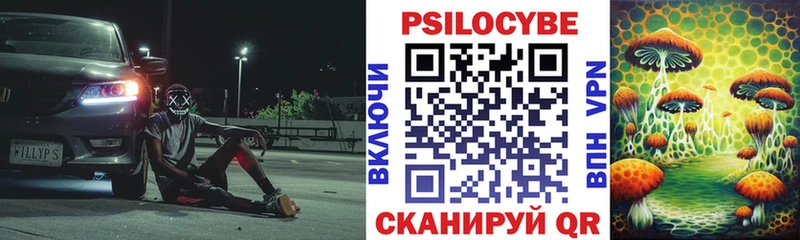 Галлюциногенные грибы Psilocybine cubensis  Гдов 