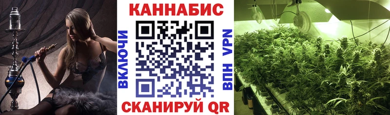 закладки Гдов Бошки марихуана сатива